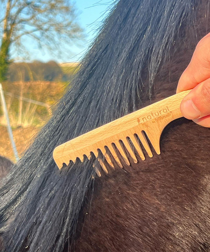 Wooden comb for grooming bay horse, part of the horse grooming kit