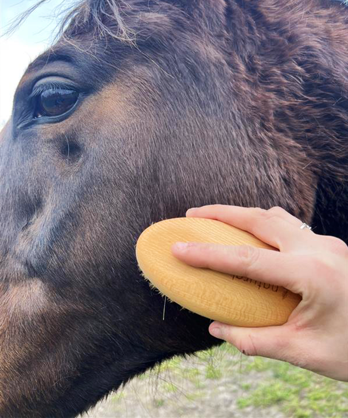 Soft bristle brush used to groom horse's face, part of the natural brush horse grooming kit