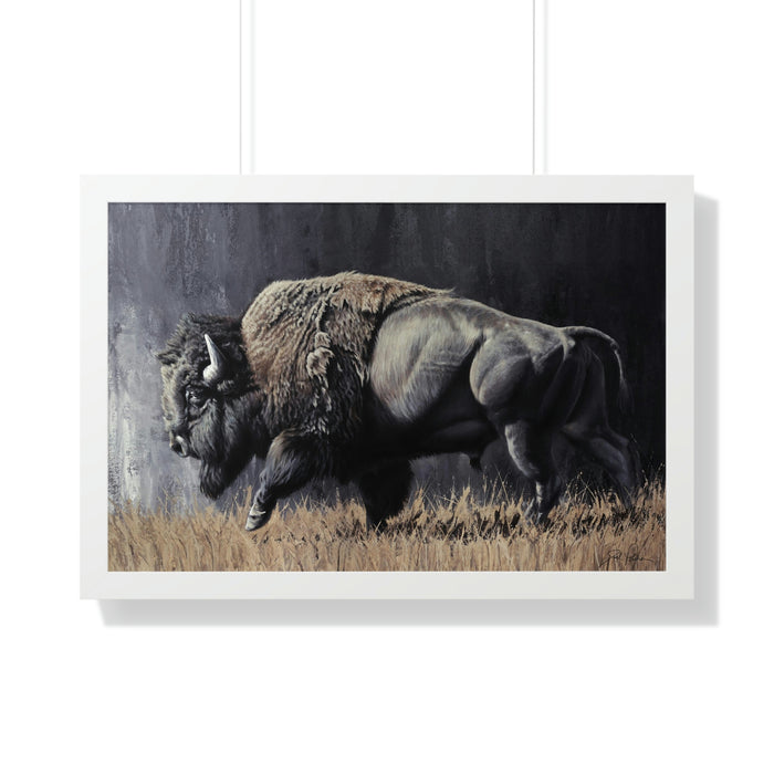 30" x 20" / White