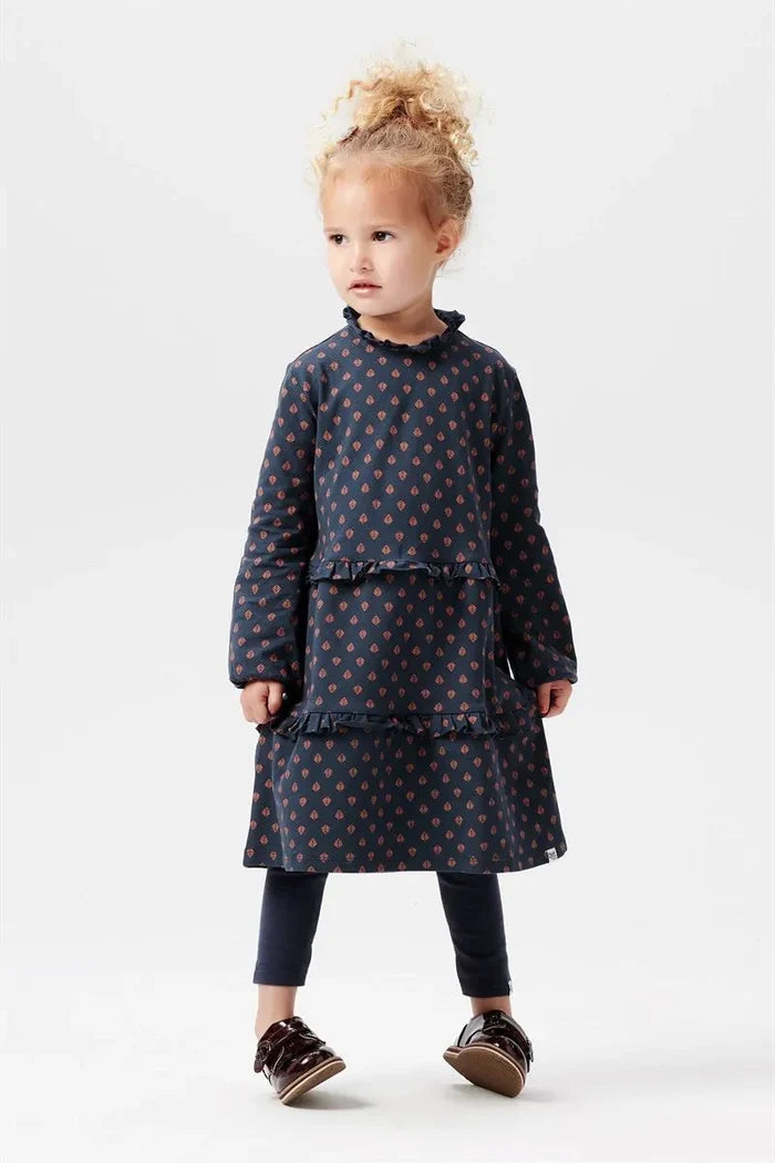 Noppies Kemp Mill Allover Print Long Sleeve Dress - Henna