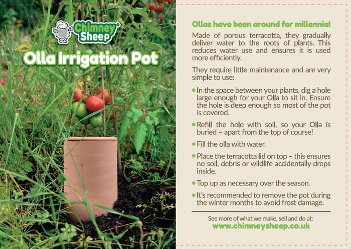 4 litre olla irrigation pot in raised bed with tomatoes, with text for product label describing how to use the olla