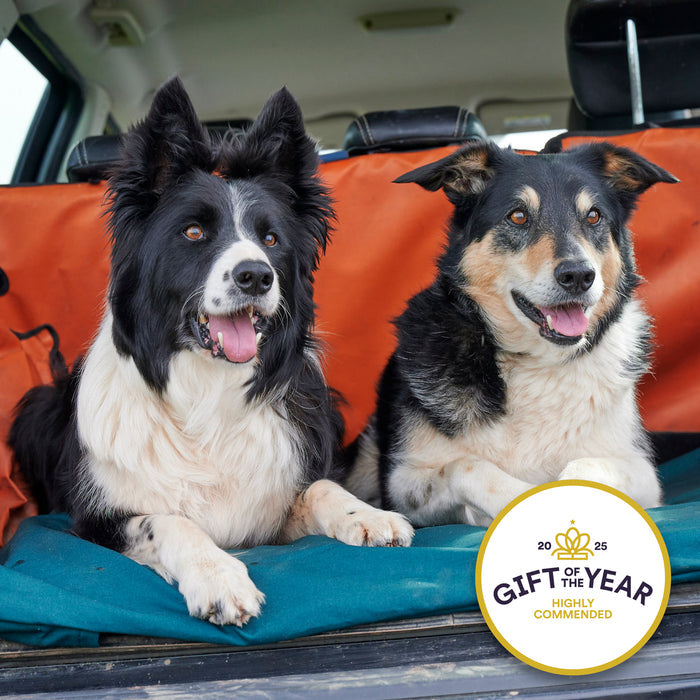 Two collie dogs sitting in a car on roll-up dog bed  with a 'Gift of the Year' award badge.