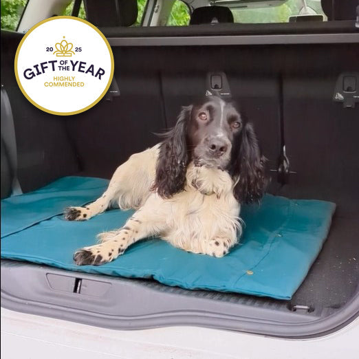 Dog lying on a roll-up dog mat with a 'Gift of the Year' award badge in the corner.
