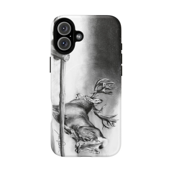 iPhone 16 Plus / Matte