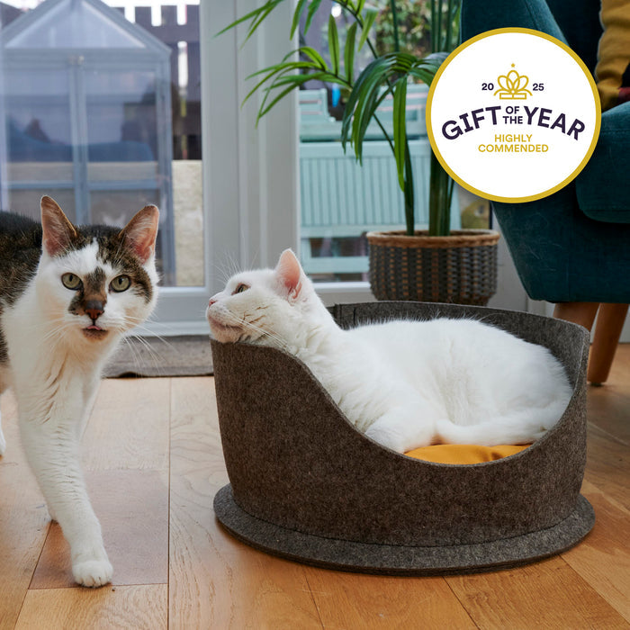 Two cats in a cozy room with a grey snug pet bed, a plant, and a 'Gift of the Year' award badge.