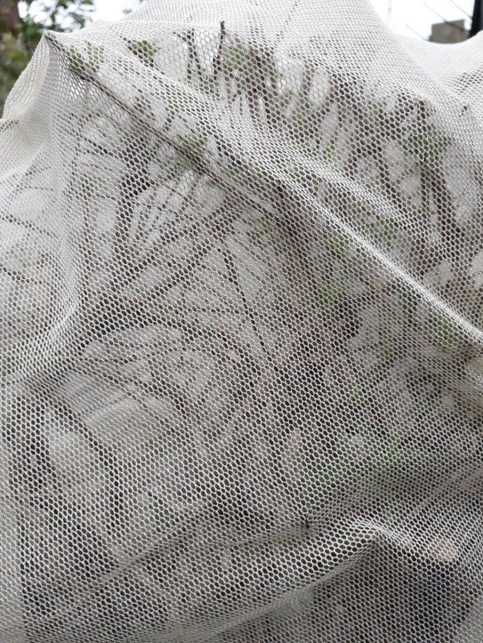 Plastic free plant protection net covering grown plants.