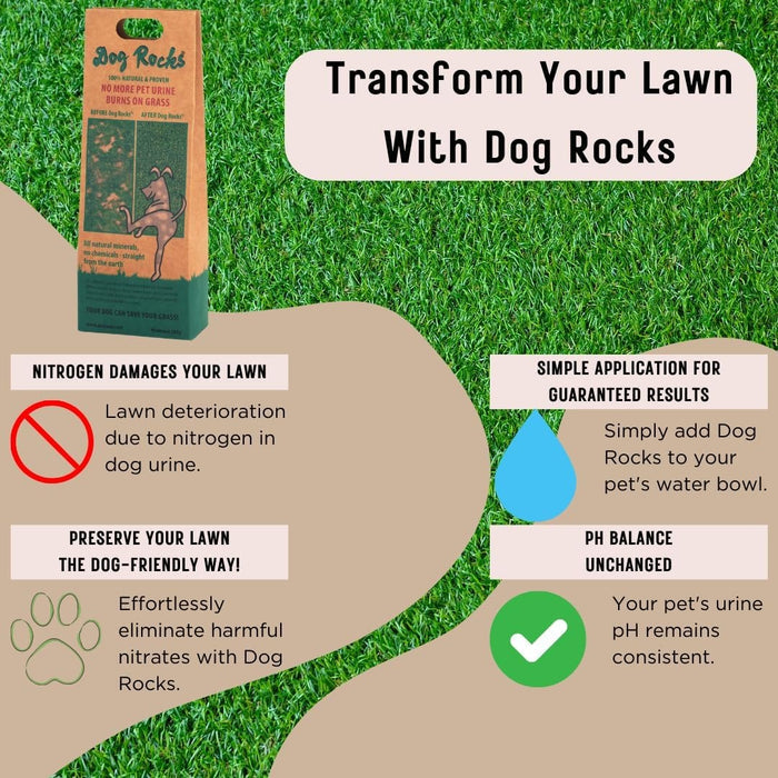 "How to" transform your lawn with Dog Rocks - simple, effective and natural.