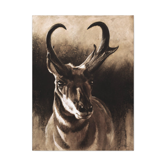 "Pronghorn" Stretched Canvas