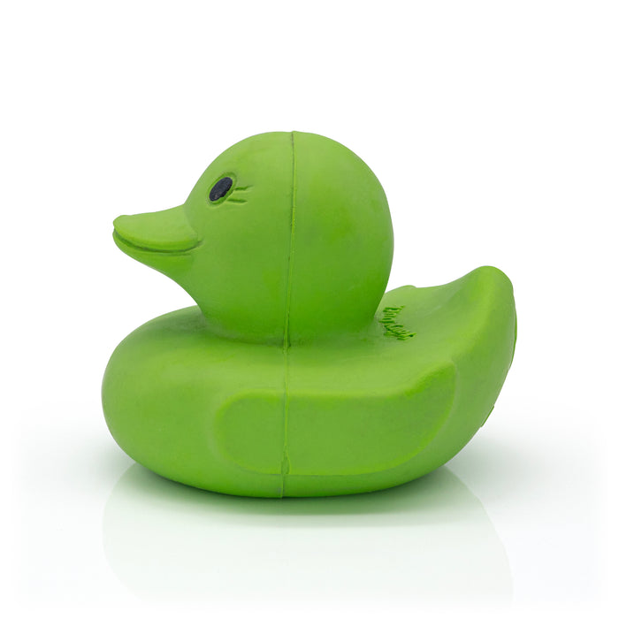 Green rubber duck with black eye on a white background.