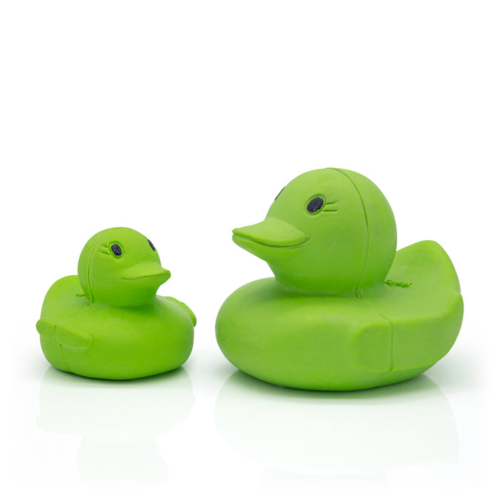 Green fairtrade rubber ducks in large and small size.