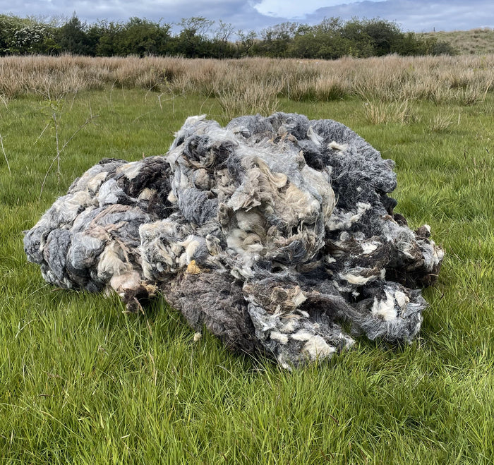 Raw Herdwick Sheep Wool 10kg