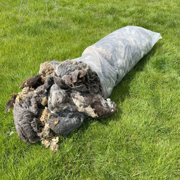 Raw Herdwick Sheep Wool 10kg