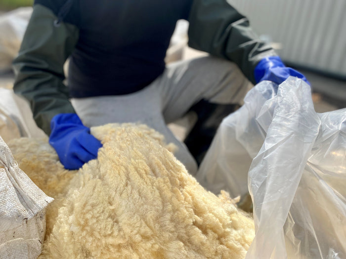 Raw Herdwick Sheep Wool 10kg