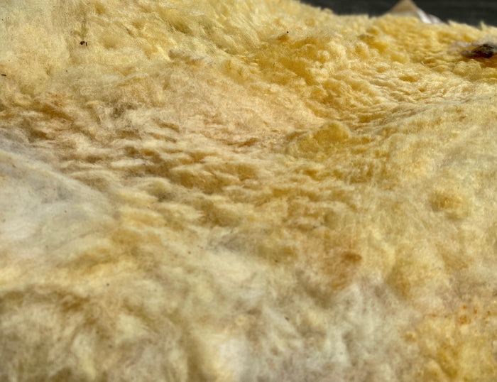 Raw Herdwick Sheep Wool 10kg