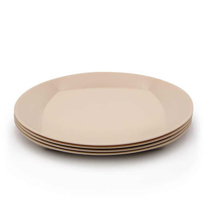 Bioplastic plates made from waste sugarcane