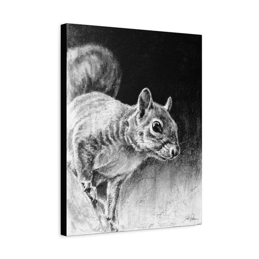 "Squirrel" Stretched Canvas