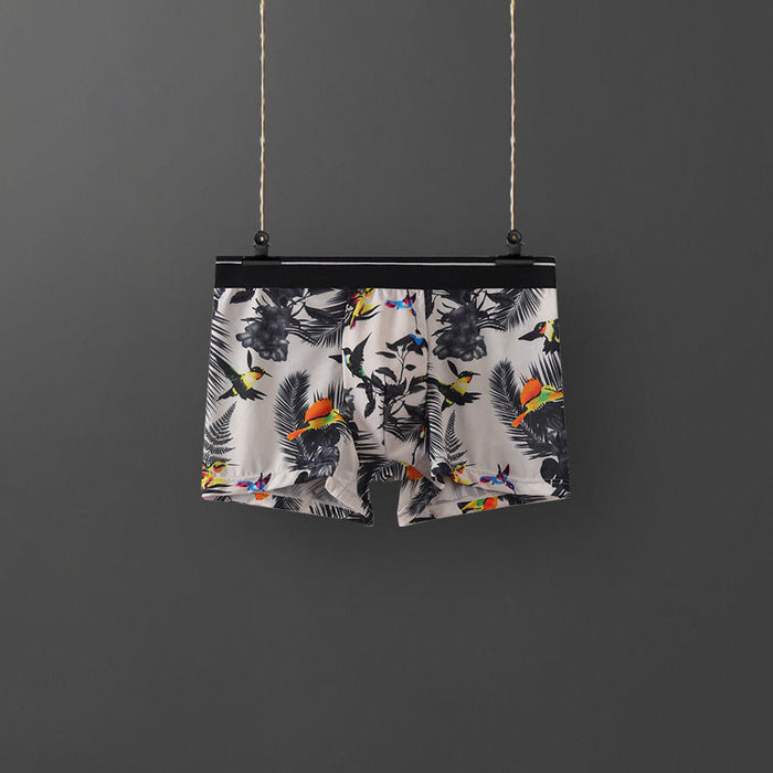 Hummingbird / 2XL
