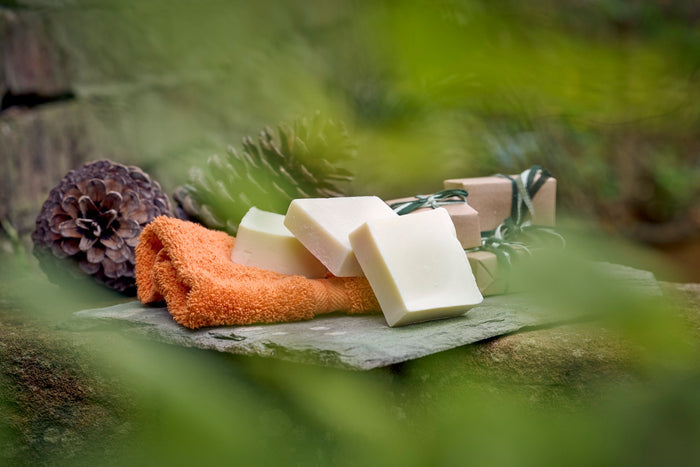 Three bars of white olive oil Castile soap, and three bars of castile soap gift-wrapped in natural outdoors surrounding