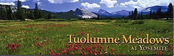 Tuolumne Meadows Magnet-QTY=10