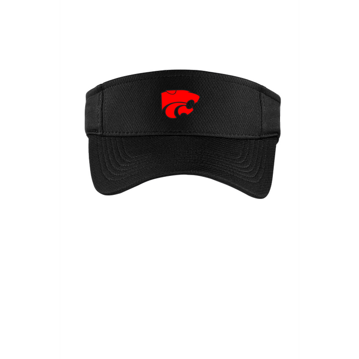 Visor