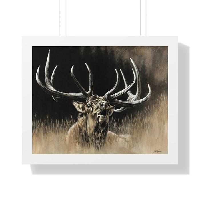 20" x 16" / White