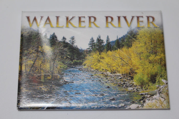 Walker River Magnet