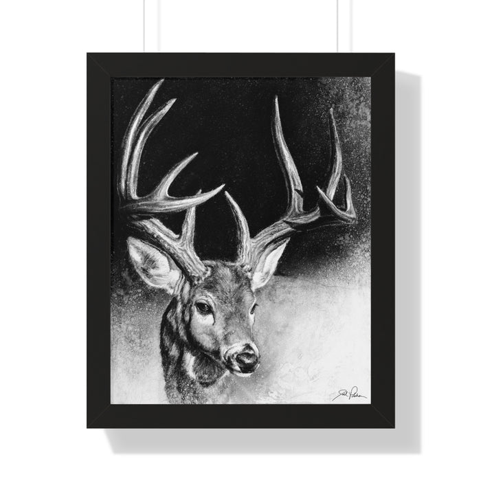 "Whitetail Buck" Framed Paper Print.