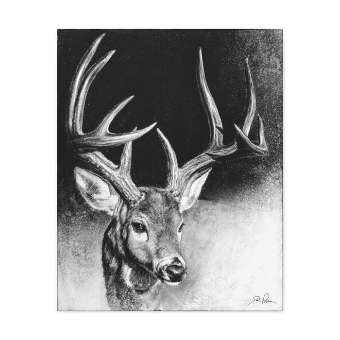 "Whitetail Buck" Stretched Canvas