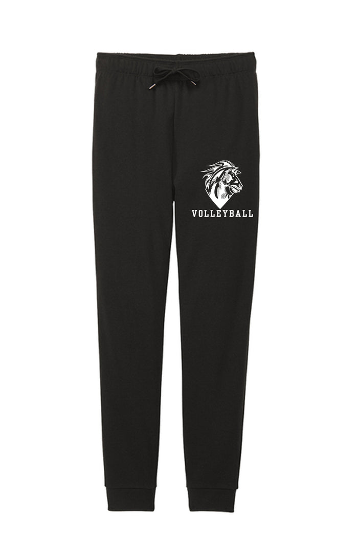 Womens Triblend Joggers  54/40/6 poly/combed ring spun cotton/rayon