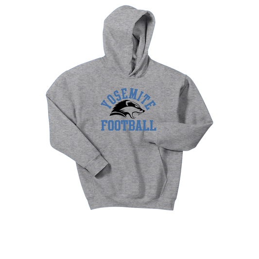 Youth Hoodie